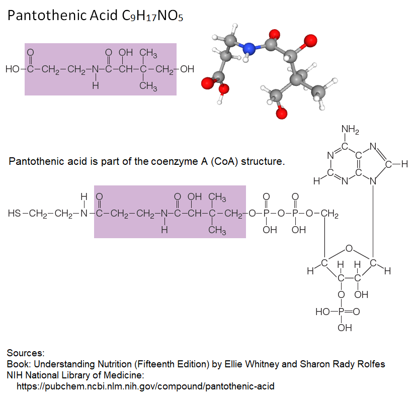Pantothenic Acid Chemistry Structure